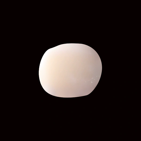 White Coral - 6.05 carats